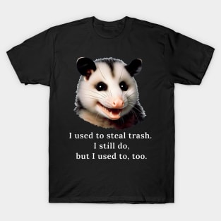 A possum comedian T-Shirt